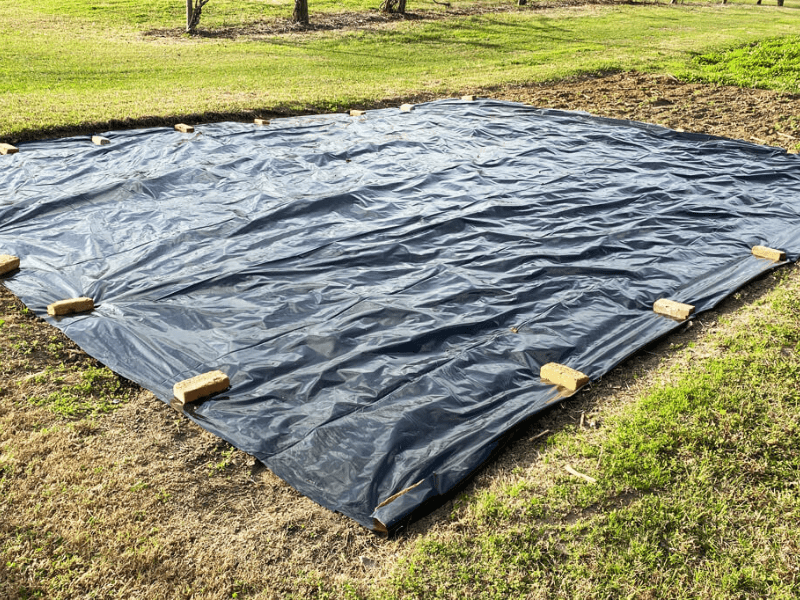 Solarizing the site and prepping it for planting